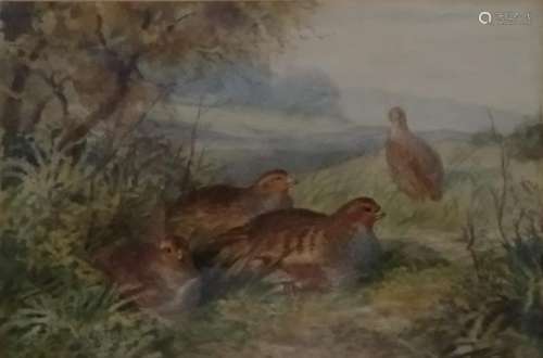 ATTRIBUTED JAMES STINTON (BRITISH 1870-1961) 'PARTRIDGES IN ...