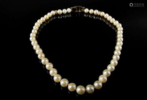 MIKIMOTO. Collier de perles de culture et or jaune, le fermo...