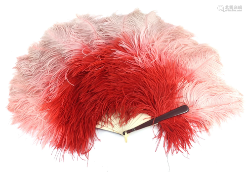 A vibrant ostrich feather fan in shades