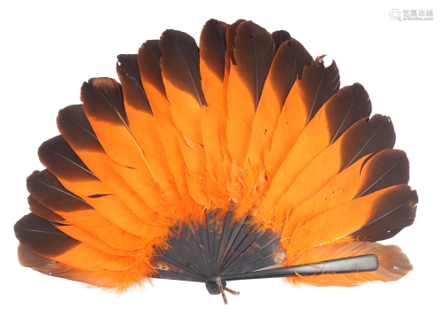 A tortoiseshell and feather fan mounted