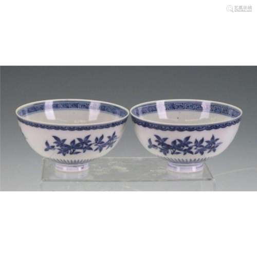 pair of blue and white bowls