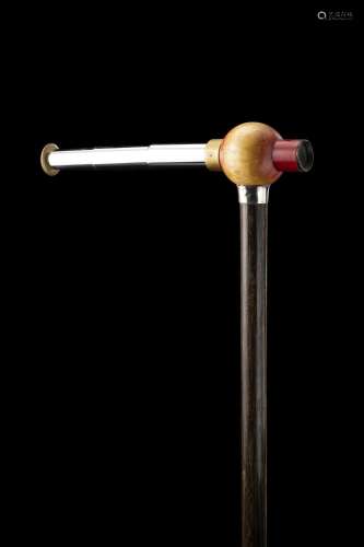 A wooden walking stick with partially painted handle enclosi...