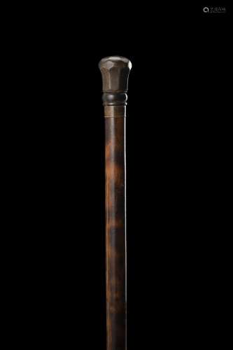 A blowgun walking stick. Horn mount and toe cap. 19th centur...