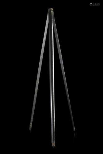 An early 20th-century ebony photographer walking stick with ...