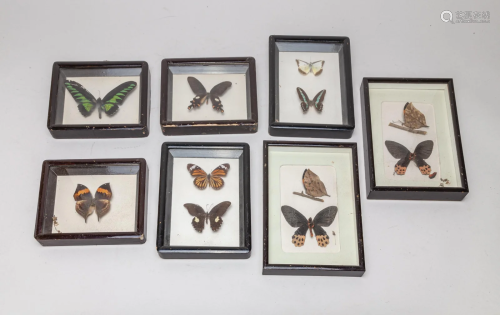 Group of Vintage Butterfly Wall Hangings