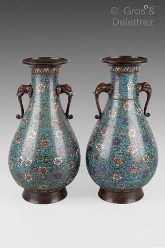Japon. Paire de vases en bronze cloisonné à décor de fleurs ...