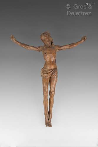 Christ en bois sculpté et patiné. XVIIIe siècle Haut : 61 cm...