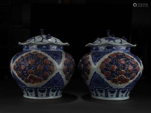 A Pair of  Blue-and-white Underglaze Red Pots