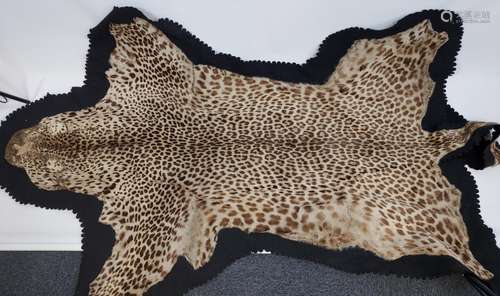 An Antique Leopard skin rug. [260x120cm]