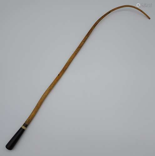 Antique bulls pizzle whip. [70cm in length]