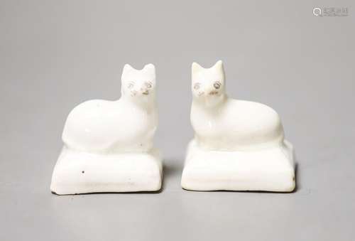 A pair of Staffordshire porcelain models of recumbent kitten...