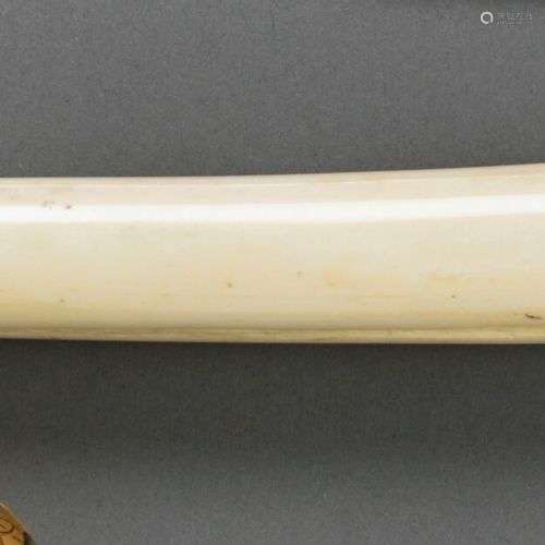 JAPON - Période EDO (1603-1868) Phallus en ivoire marin Débu...