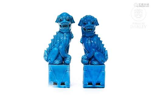 Pareja de perros foo de porcelana esmaltada, China, s.XX