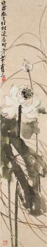 汪亚尘（1894～1983） 荷花 镜片 设色纸本