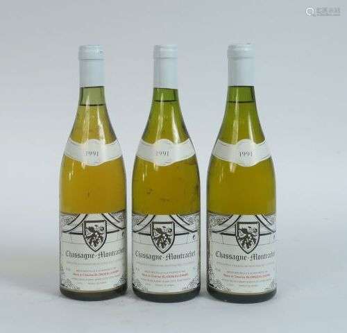 3 BOUTEILLES CHASSAGNE MONTRACHET BLONDEAU DANNE - 1991 - 1 ...