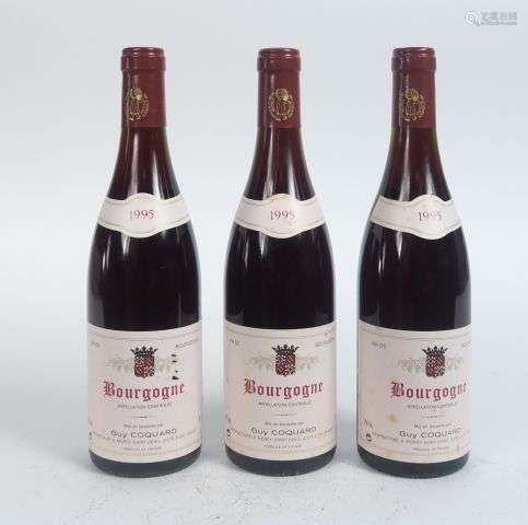 3 BOUTEILLES BOURGOGNE G. COQUARD - 1995 - 0,5CM