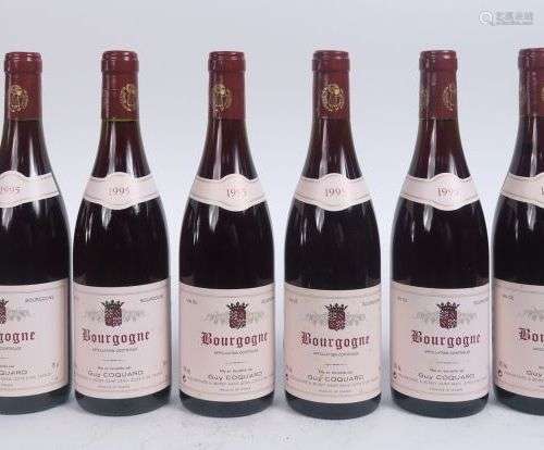 6 BOUTEILLES BOURGOGNE G. COQUARD - 1995 - 0,5 CM