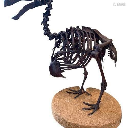 Moulage de Dodo Genre: Raphus Espèce: cucullatus Age: sub-ac...