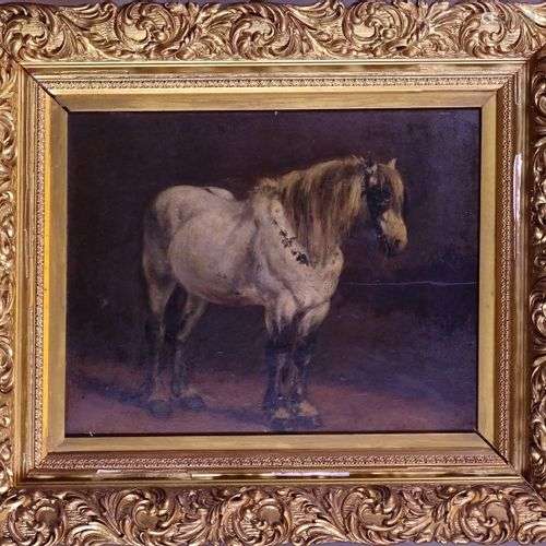 Tableau HSP (acc) -Cheval- anonyme fin 19è début 20èS 33x41c...