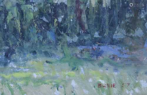 Birnie (20th century): Cottages surrounded by woodland, oil ...