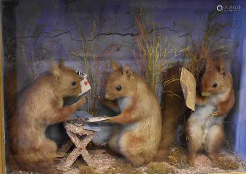A Victorian taxidermy diorama with three red squirrels playi...