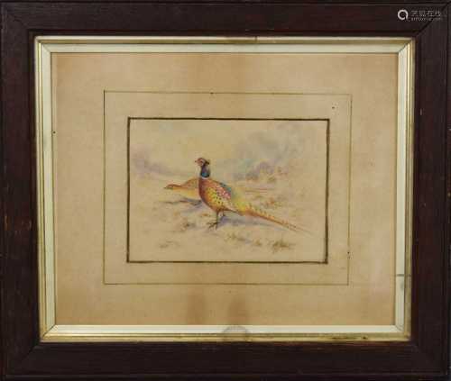 James Stinton, cock and hen pheasant in landscape, watercolo...