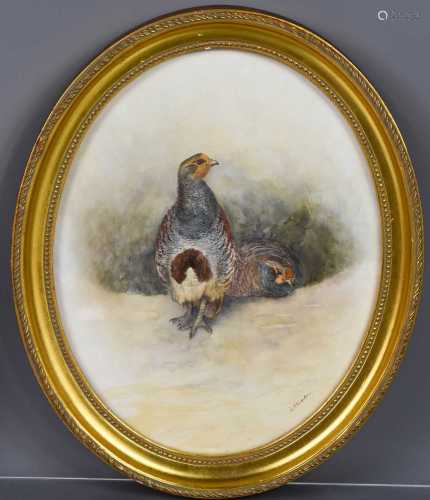JAS Stinton, two grouse, watercolour, signed, within an oval...
