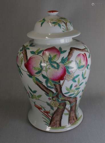 Chinese Porcelain Famille Rose Vase