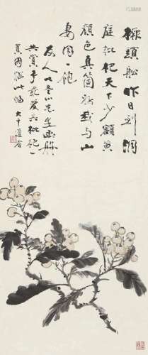 张大千（1899～1983）枇杷 立轴 设色纸本