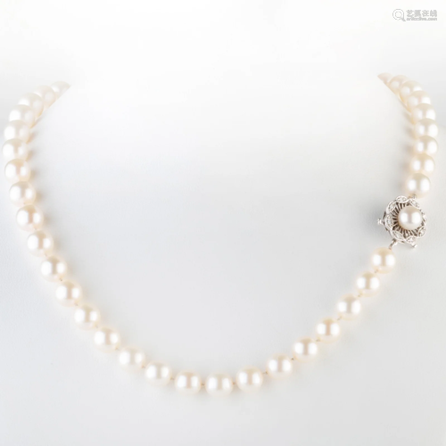 Cultured Pearl Necklace