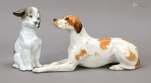 Two dogs, 20th century, differ