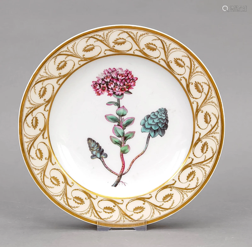 Plate with botanical painting,