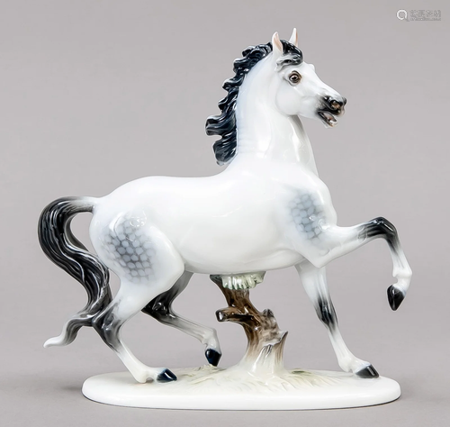 Trotting horse, Rosenthal, Cla