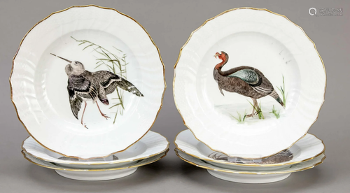 Six plates with bird painting,