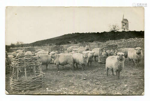 A group of 5 photographic postcards of Sullington Mill, incl...