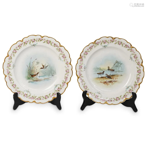 (2 Pc) Limoges Theodore Haviland Porcelain Plates