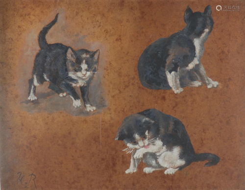 Henriette RONNER (1821-1909) cat studies