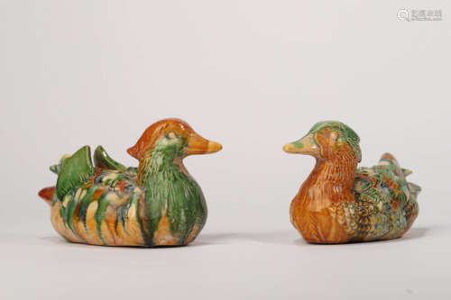 A Pair of Sancai Glaze  Pottery Mandarin Ducks