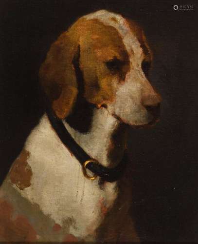 Deutschland 19. Jh.: Jagdhund "Beagle".