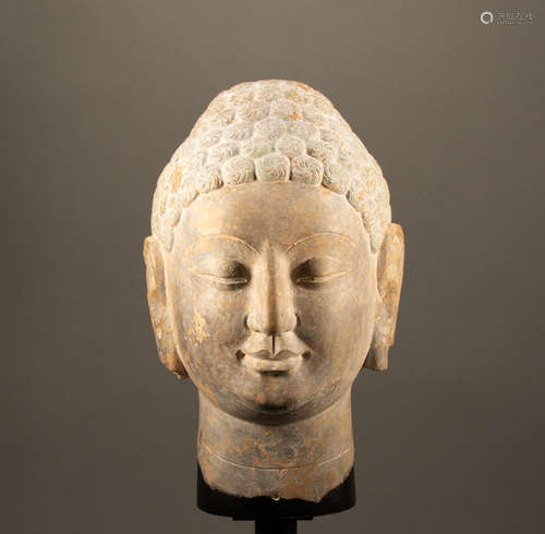 Northern Wei Dynasty - White marble Buddha head