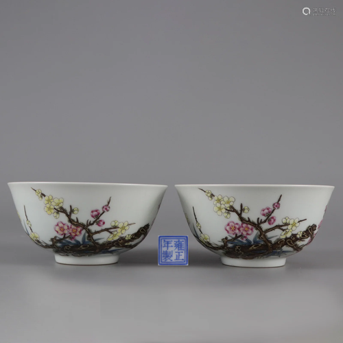 Pair Famille Rose Blooms Bowls Qing Dynasty