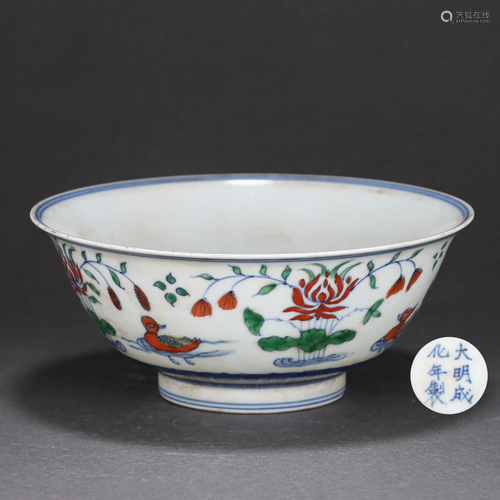 A Doucai Glazed Mandarin Ducks Bowl Qing Dynasty