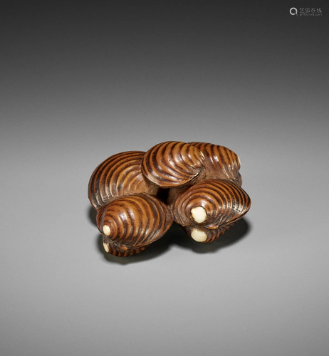 A FINE NETSUKE OF A CLUSTER OF HAMAGURI CLAMS