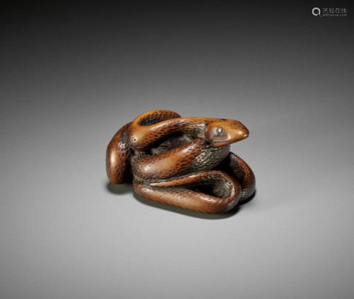 A LARGE WOOD NETSUKE OF A COILED SNAKE