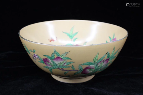 Chinese Famille Rose Porcelain Bowl