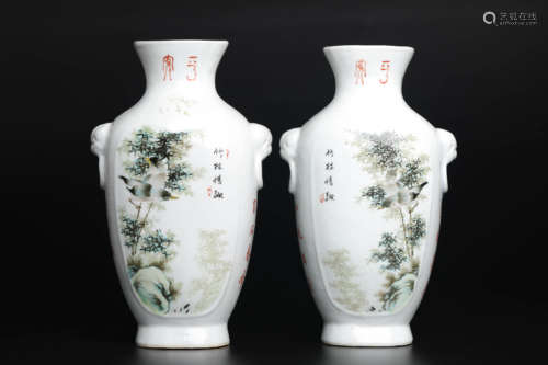 A pair of Chinese porcelain vase