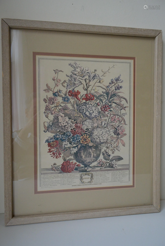 Ancient England Engraved version Flower painting: