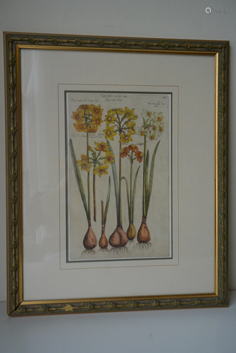 Ancient England Engraved version Flower painting