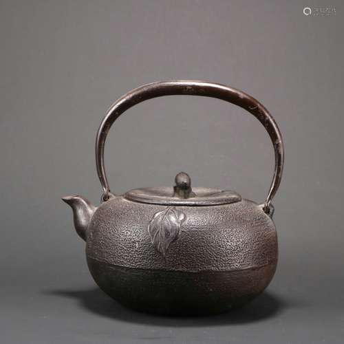 Iron Pot