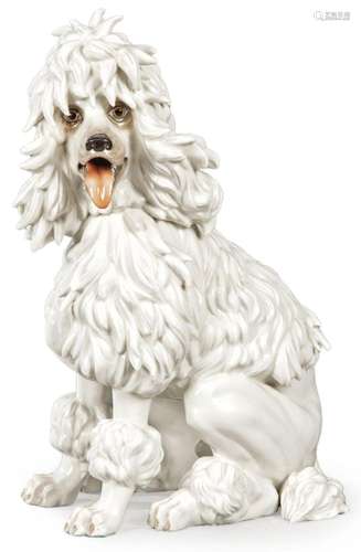 Poodle dog figurine in enamelled porcelain from Algora. Late...